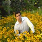 فرهنگ یاقوتی 
